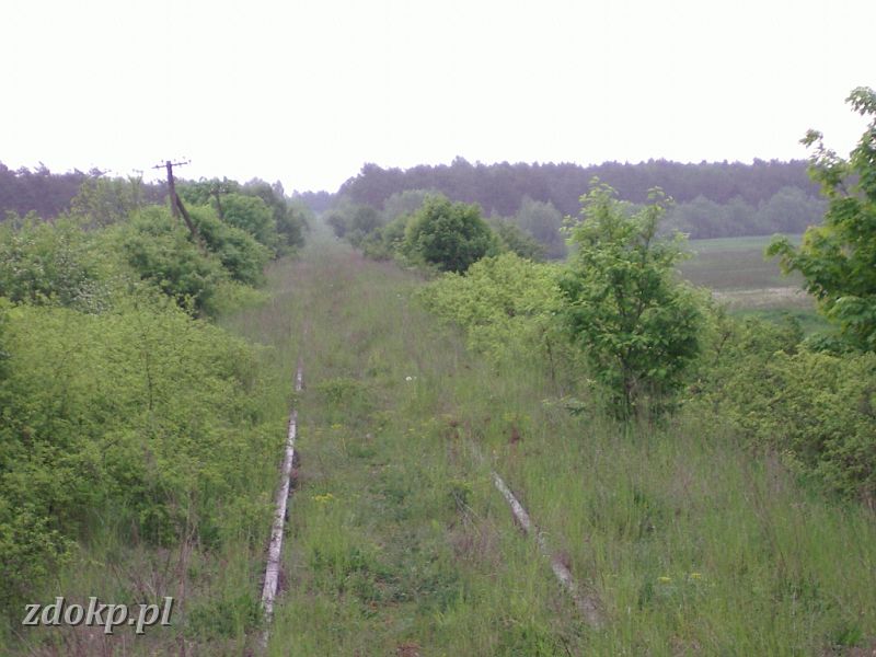 2005-05-23.098 stawiany-kiszkowo widok na gniezno.jpg - linia Gniezno Winiary -Sawa Wlkp., ok. 31.9 km, pkt 1 - widok w kierunku Kiszkowa